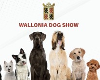 WalloniaDogShow-01